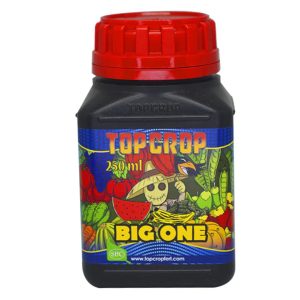 big one 250 ml top crop