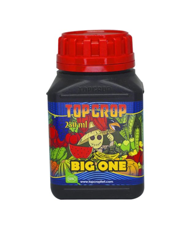 big one 250 ml top crop