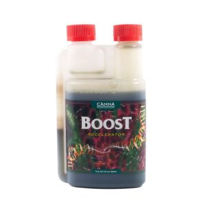 Boost accelerator 250 ml - canna