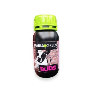 Buds 250ml - María green