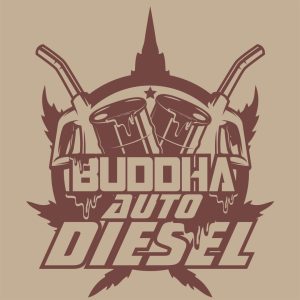 Semillas auto diesel classics x3 Buddha seeds