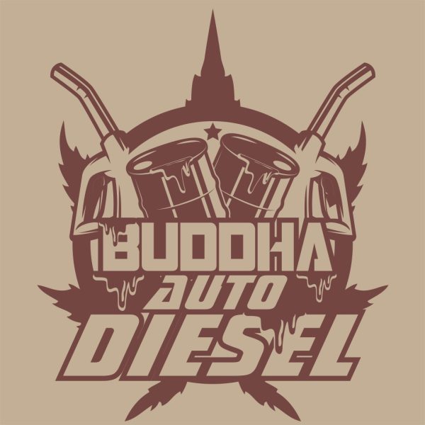 Semillas auto diesel classics x3 Buddha seeds