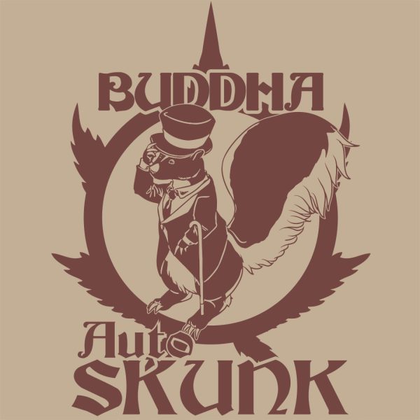 Semilla buddha auto skunk x3 auto