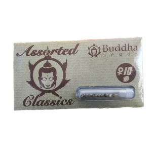 Semillas assorted auto classics x10 Buddha seeds