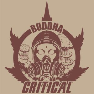 Semillas critical classics auto x3 - Buddha seeds