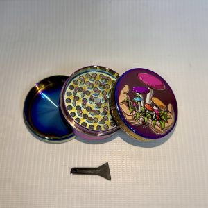 moledor tornasol hongos