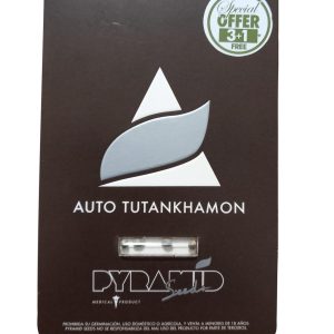 semillas tutankhamon 3+1 auto pyramid seeds