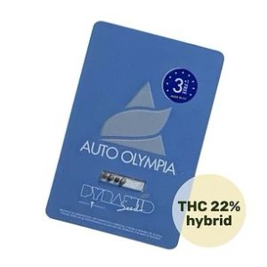 Semillas olympia 3+1 auto - pyramid seeds