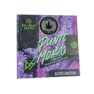 Semillas punto morado auto x4 - delirium seeds