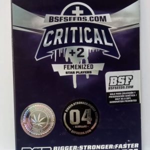 Semillas critical +2 fem x4 - bsf seeds