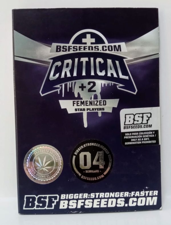 Semillas critical +2 fem x4 - bsf seeds