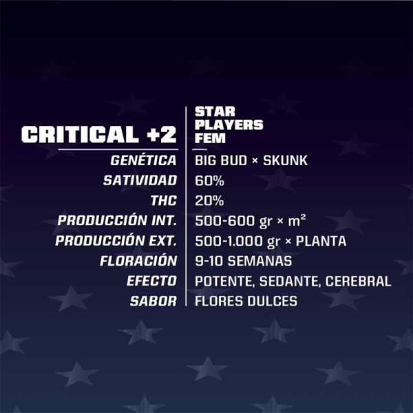 Semillas critical +2 fem x4 - bsf seeds - Imagen 2
