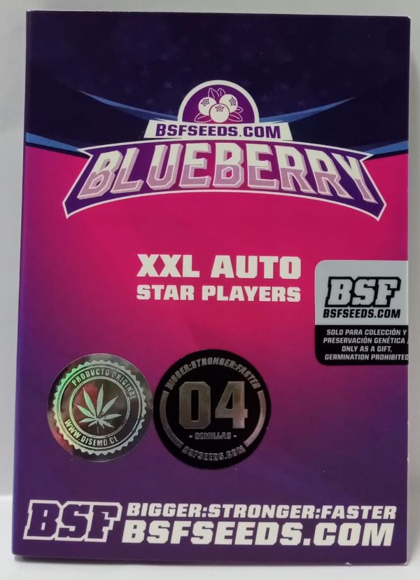 semillas blueberry fem x4 - bsf