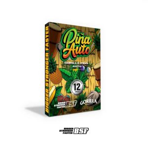 Semillas gorilla piña x12 auto - bsf