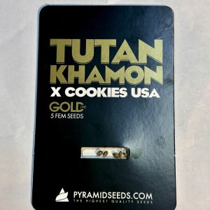 Semillas tutankhamon x cookies usa x5 fem - pyramid seeds