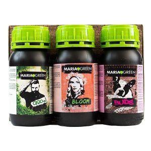Tripack - María green