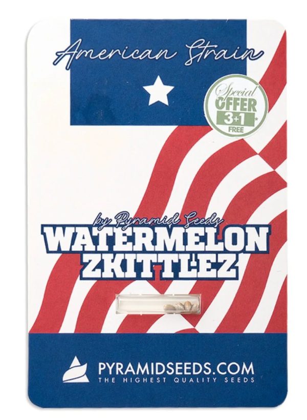 Semillas watermelon zkittlez fem x3+1 - pyramid seeds
