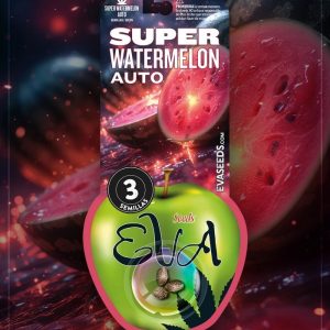 Semillas super watermelon auto x3 - Eva seeds