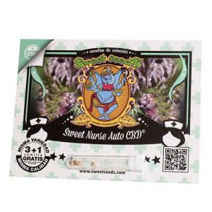 semillas sweet nurse cbd auto 3+1 sweet seeds