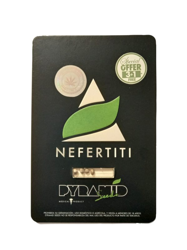 semillas nefertiti fem 3+1 - pyramid seeds