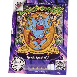 Semillas purple punch og fem x3+1 - sweet seeds