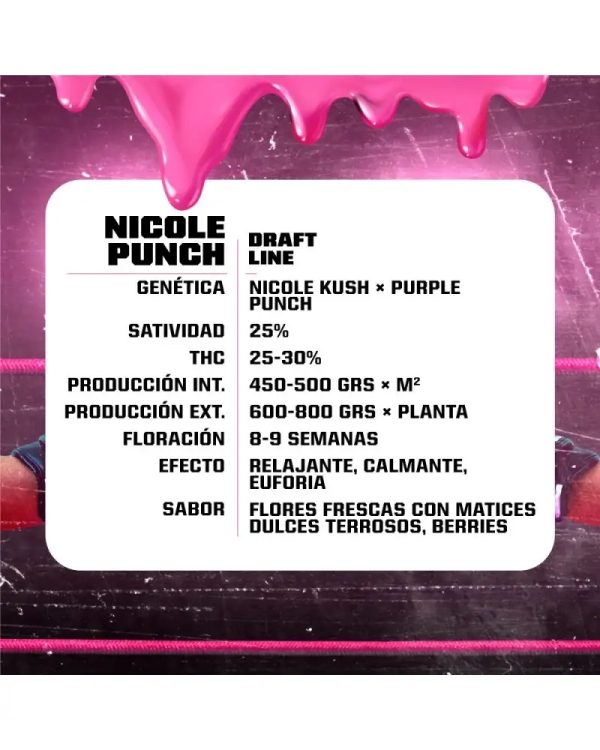 Semillas Nicole punch x4 fem - bsf seeds - Imagen 2