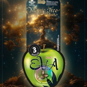 Semillas Magic tree auto x3 - Eva seeds