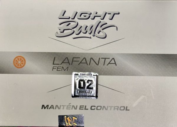 Semillas lafanta fem cbd x2 light buds - bsf