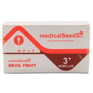 Semillas devil fruit 3+2 fem - medical seeds