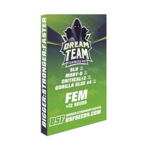 Semillas dream team fem mix x12 - bsf seeds