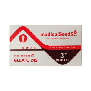 Semillas gelato 242 x3+2 fem - medical seeds