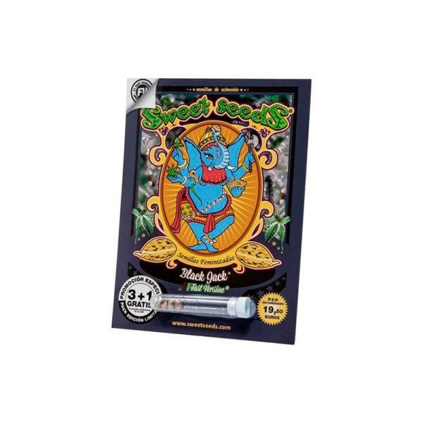 Semillas black Jack fast versión 3+1 - sweet seeds