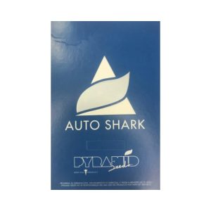 semillas auto shark 3+1 pyramid seeds