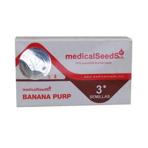semillas banana purp 3+2 fem - medical seeds