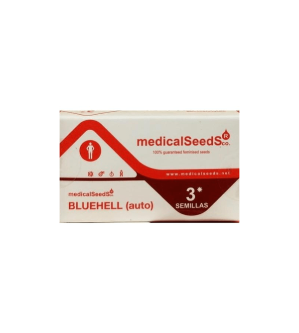 semillas bluehell auto x3+2 - medical seeds