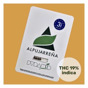 Semillas alpujarreña auto 3+1 - pyramid seeds