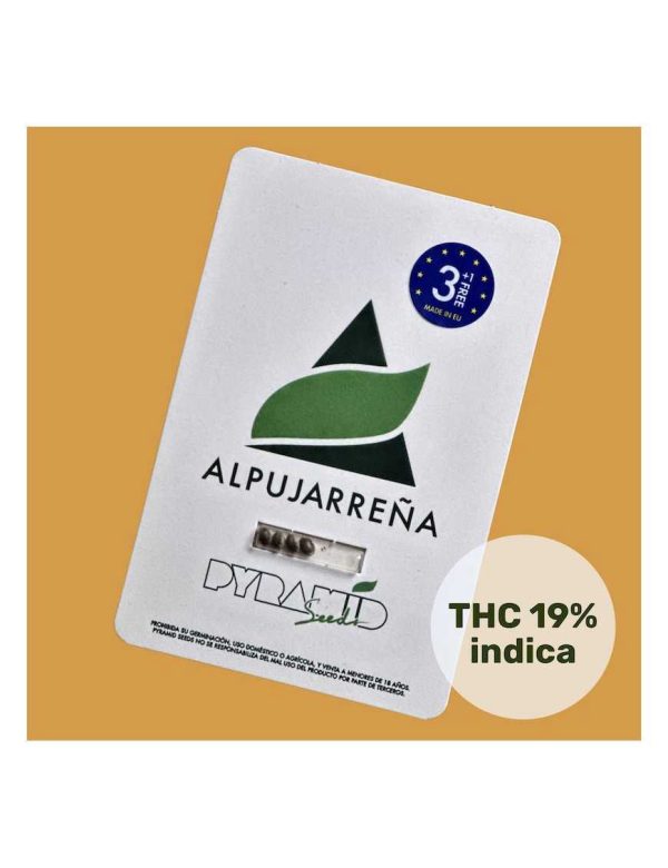 Semillas alpujarreña auto 3+1 - pyramid seeds