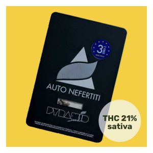 Semilla Nefertiti auto 3+1 pyramid seeds