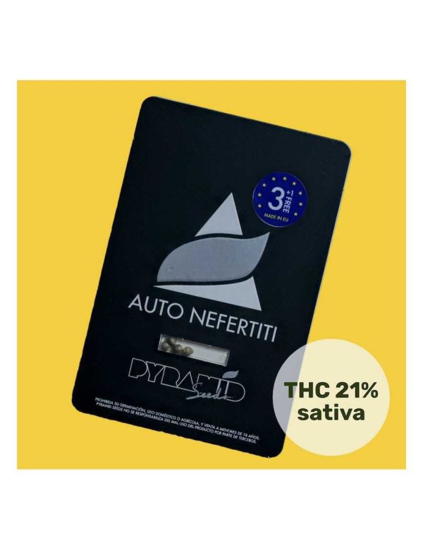 Semilla Nefertiti auto 3+1 pyramid seeds