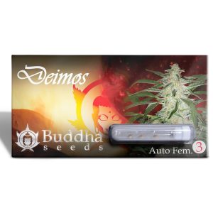 semilla deimos auto 3+1 - buddha seeds