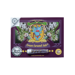 semilla cream caramel auto 3+1 sweet seeds