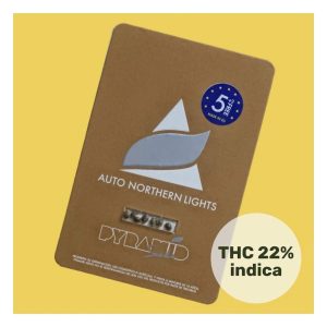 semillas northern lights 3+1 auto pyramid seeds