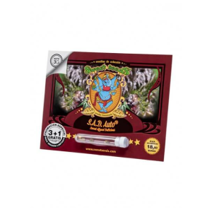 Semillas sad auto x3+1 - sweet seeds