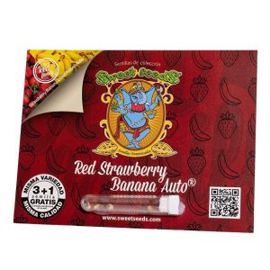 Semillas red strawberry banana auto 3+1 sweet seeds