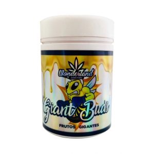 Giant buds PK52-34 120gr - wonderland