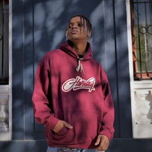 Hoodie Burdeo poleron - hardfly