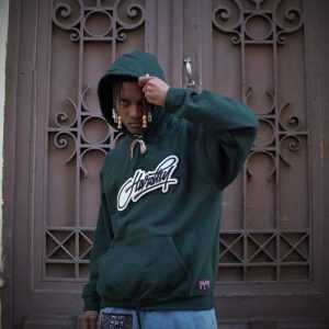 Hoodie verde oscuro (poleron) hardfly