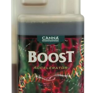 Boost accelerator 1 lt - canna