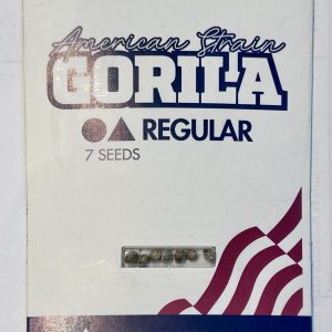 semillas gorila regular x7 - pyramid seeds