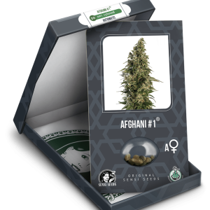Semilla afghani #1 auto x3 - Sensi seeds